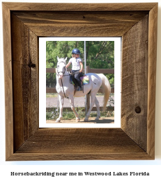 horseback riding near me in Westwood Lakes, Florida